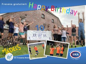 sv fresena ihren jugendfussball